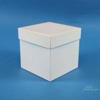ALPHA Box 130 / Leerbox