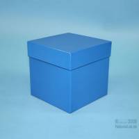 ALPHA Box 130 / Leerbox