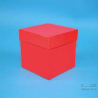 ALPHA Box 130 / Leerbox