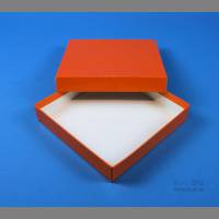 BRAVO Box 133x133x25 mm