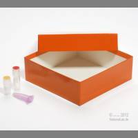 BRAVO Box 133x133x50 mm