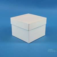 ALPHA Box 100 / Leerbox